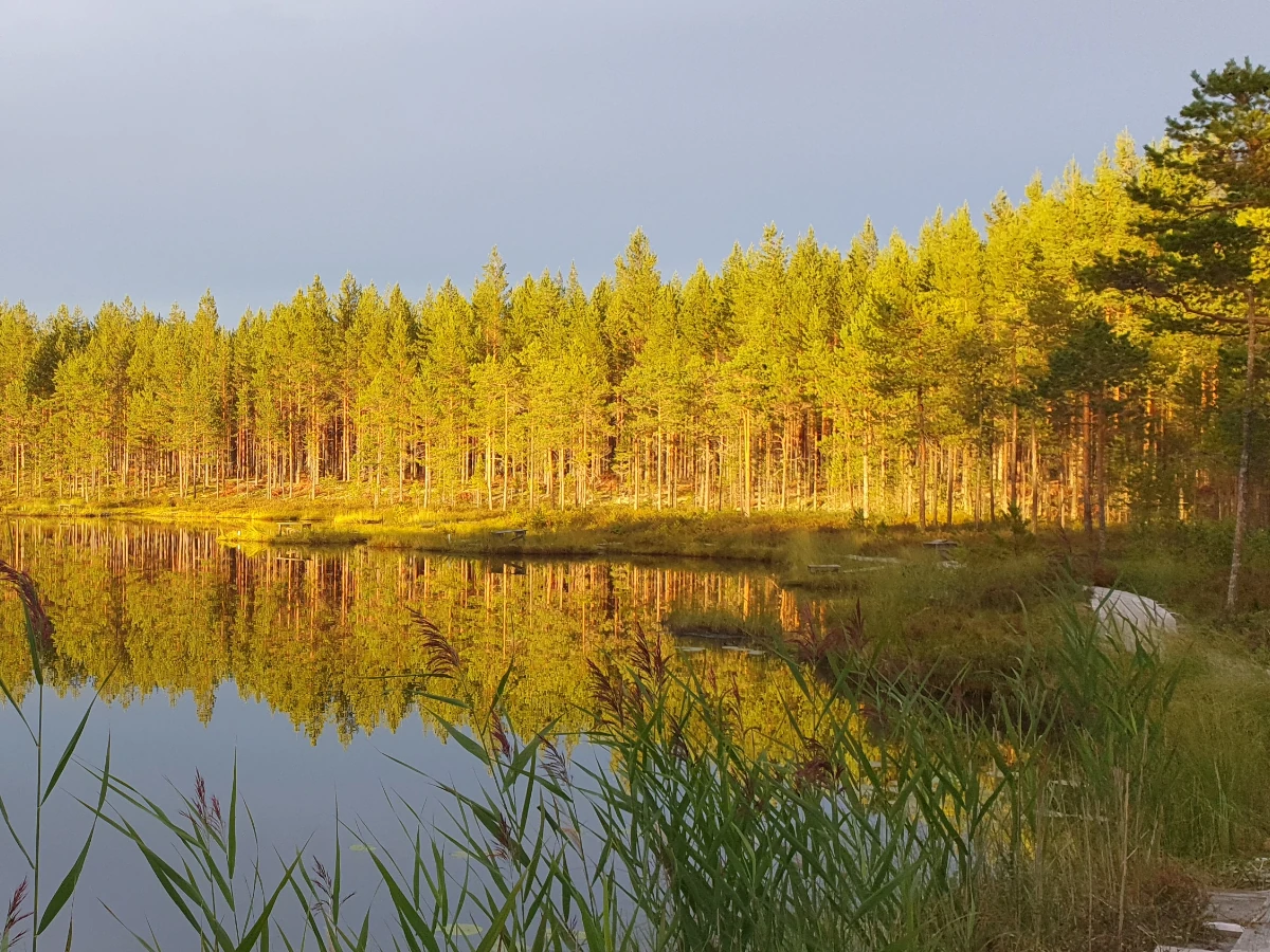 Skylt isfiskepremiär 2024